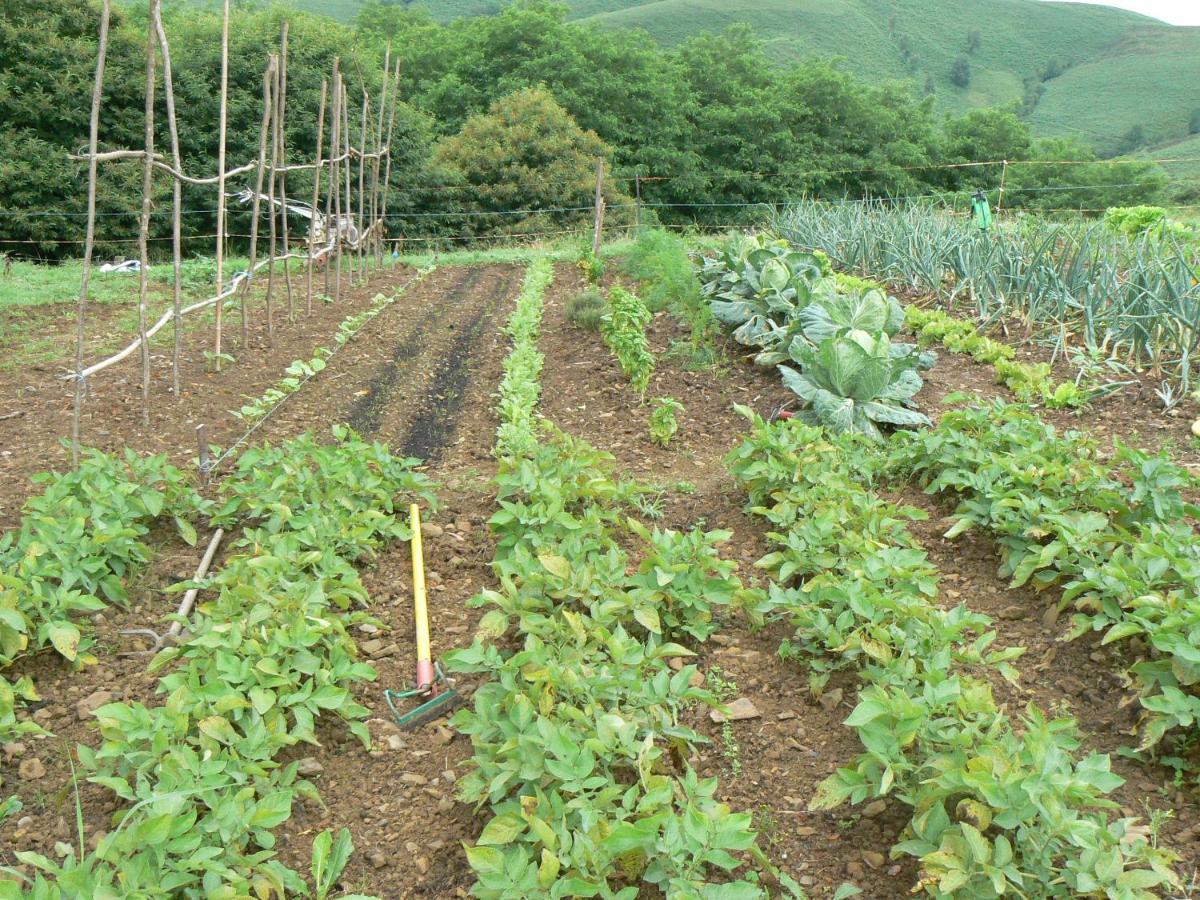 La Ferme Aux Sangliers - Micalet Βίλα Issor Εξωτερικό φωτογραφία